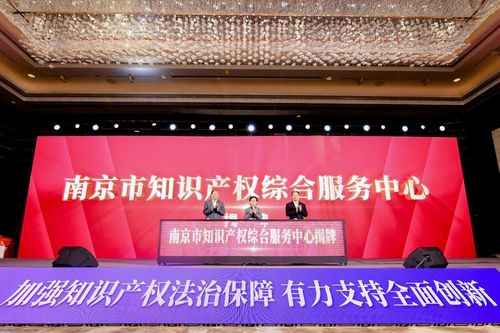 激活知識(shí)產(chǎn)權(quán)內(nèi)生動(dòng)力，南京以高質(zhì)量服務(wù)賦能經(jīng)濟(jì)社會(huì)騰飛